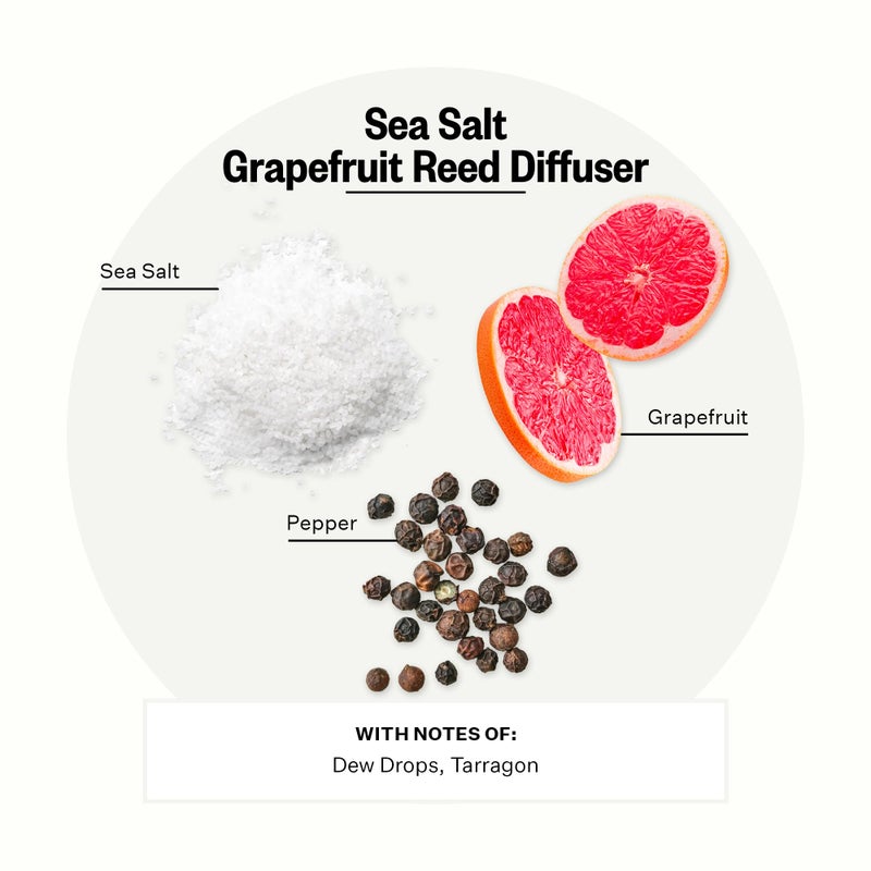 Apotheke Luxury Scented Reed Diffuser for Home, Sea Salt Grapefruit - 6.7 Fl Oz Essential Oil Aromatherapy - 10 Rattan Scent Sticks Room Diffuser - Long-Lasting Fragrance for Bedroom, Home, Bathroom - Image 2